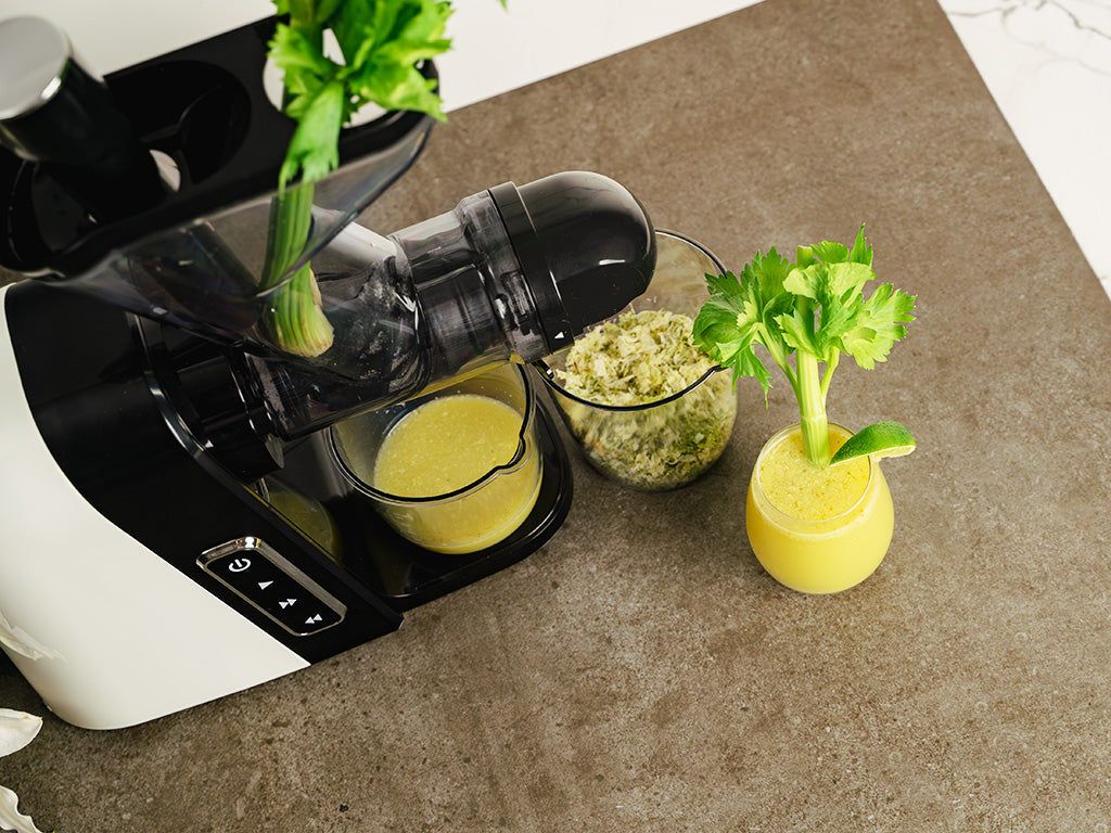 SOKOWNIK SLOW JUICE