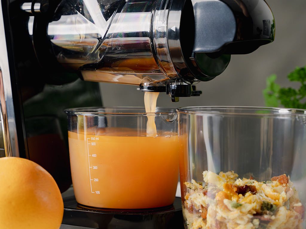 SOKOWNIK SLOW JUICE