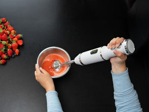 BLENDER RĘCZNY